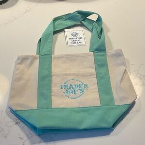 Mini Canvas Tote Bag in Mint